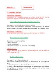 dichiarazione impot imprenditore auto prestation de service